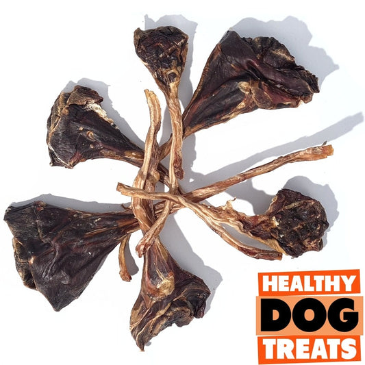 Kangaroo Bulb Tendons by Healthy Dog Treats