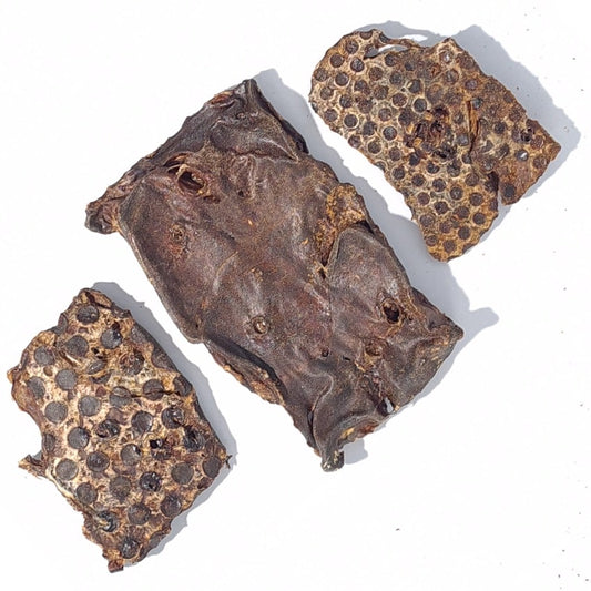 Beef Lung Crisp by Healthy Dog Treats