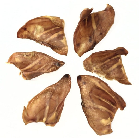 Pig Ears by Healthy Dog Treats