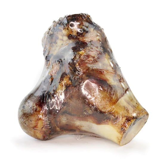XL Beef Knuckle Bone (1pc) by JR Pet Products