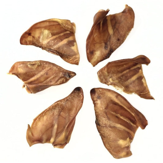 Pig Ears (5pc) by Healthy Dog Treats