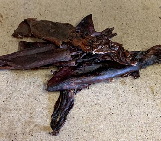 Squid (250g) by Fishtastic Dog Treats