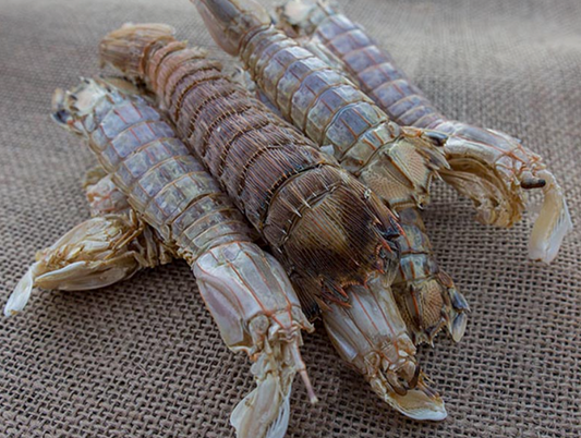 Mantis Shrimp (100g) by Fishtastic Dog Treats